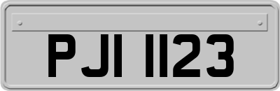 PJI1123
