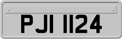 PJI1124
