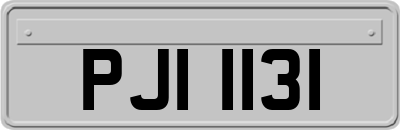 PJI1131