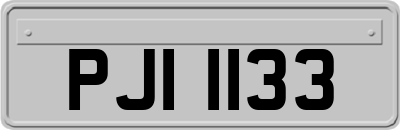PJI1133