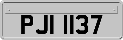 PJI1137