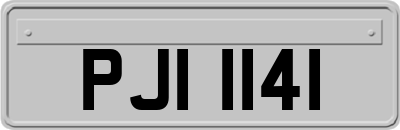 PJI1141