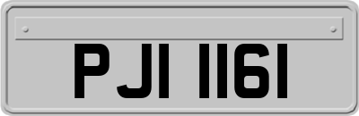 PJI1161
