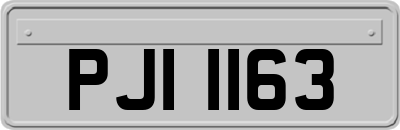 PJI1163