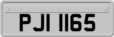 PJI1165