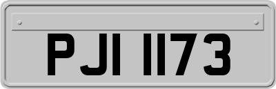 PJI1173