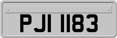 PJI1183
