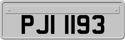 PJI1193