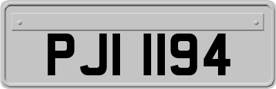 PJI1194