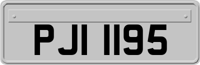 PJI1195