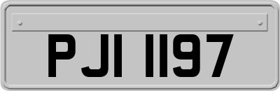 PJI1197