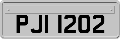 PJI1202