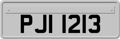 PJI1213