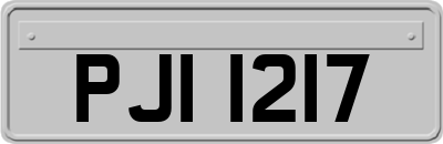 PJI1217