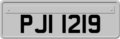 PJI1219