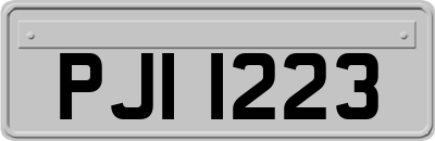 PJI1223