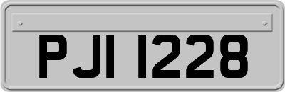 PJI1228