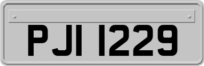 PJI1229