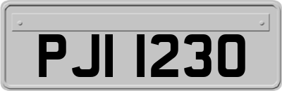 PJI1230