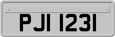PJI1231