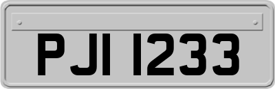 PJI1233