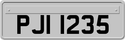 PJI1235