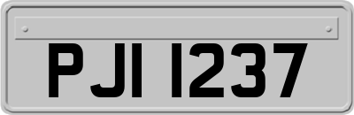 PJI1237