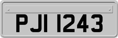 PJI1243