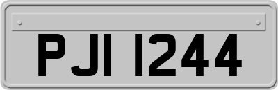PJI1244