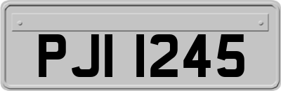 PJI1245