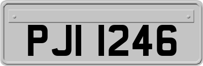 PJI1246