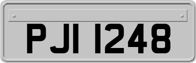 PJI1248