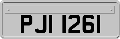 PJI1261