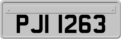 PJI1263