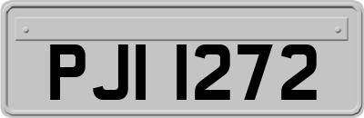 PJI1272