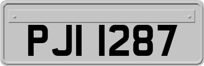PJI1287