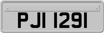 PJI1291