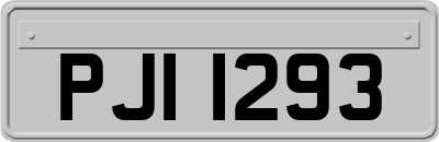 PJI1293