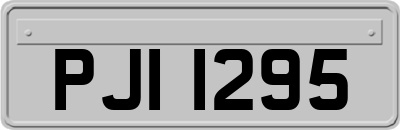 PJI1295