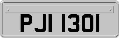 PJI1301