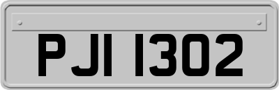 PJI1302
