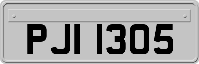 PJI1305