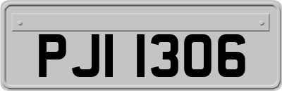 PJI1306