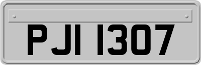 PJI1307