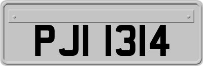 PJI1314