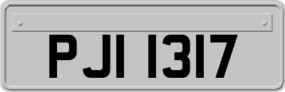 PJI1317