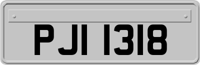 PJI1318