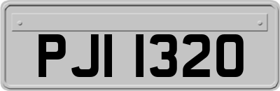 PJI1320