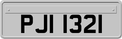 PJI1321
