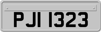 PJI1323